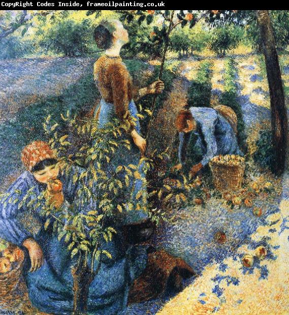 Camille Pissarro Apple picking